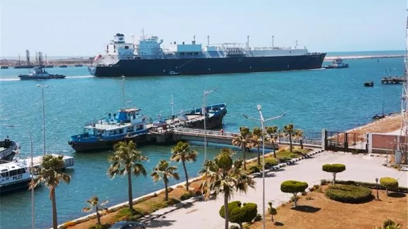 تصدير ٦٥ ألف طن غاز مسال إلى الهند وتداول ٦٧ ألف طن بضائع فى ميناء دمياط.. بالصور