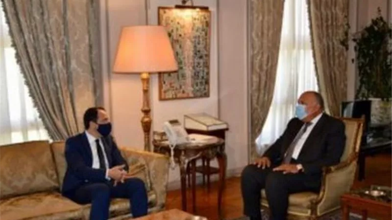 سامح شكري يبحث ملفات التعاون الثنائى مع وزير خارجية قبرص