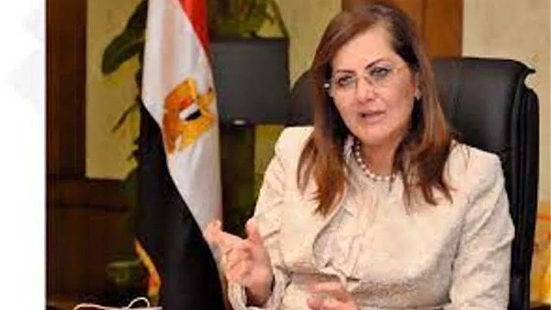 التخطيط: 260 مليون جنيه اعتماد اضافى لتلبية المتطلبات العاجلة لجائحة كورونا