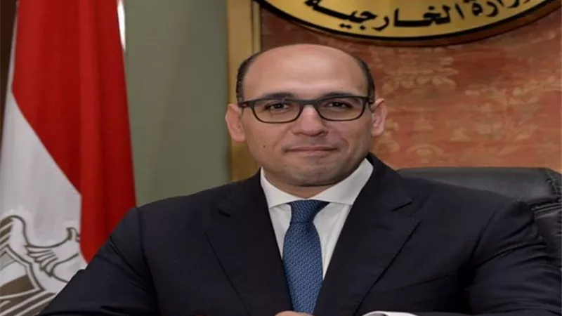 متحدث الخارجية: مصر تتحمل مسؤولية تثبيت وقف إطلاق النار المتبادل في غزة