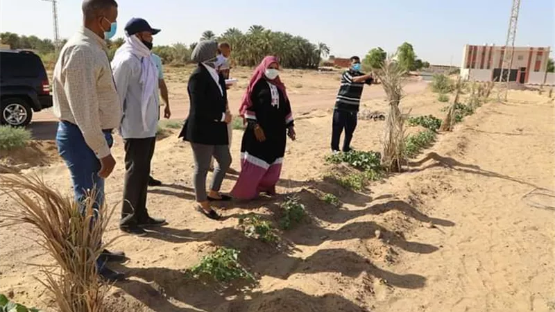 نائب محافظ الوادي الجديد تتفقد مزارع ناصر لإنتاج المورينجا بالخارجة - صور