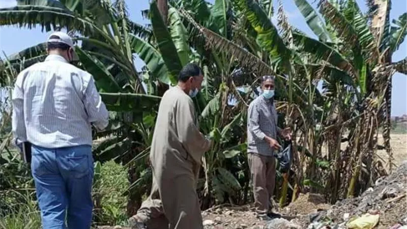 زراعة الشرقية تُطلق الحملة القومية لمكافحة القوارض إستعداداً لزراعة المحاصيل الصيفية
