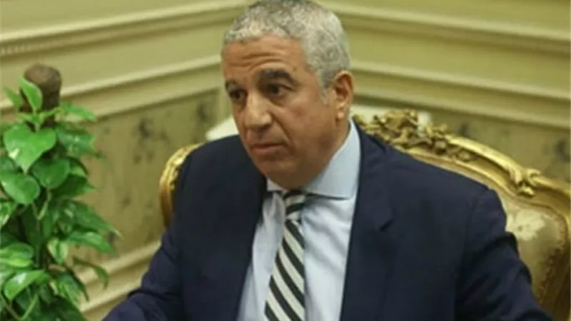 رئيس خارجية النواب: الإشادات الدولية بجهود مصر للتهدئة تجسيد لمقومات الزعامة والسياسة المصرية