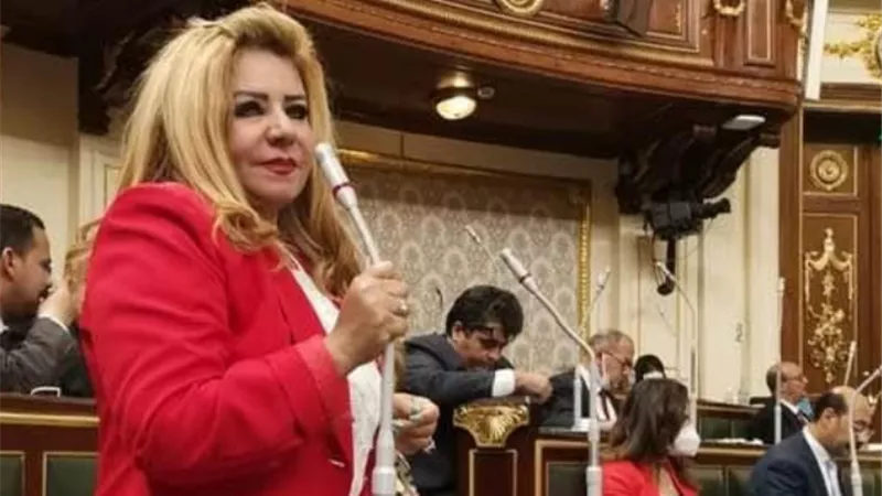 النائبه امال رزق الله: قانون الحد الأدنى للعلاوة يتماشي مع توجهات القيادة السياسية..