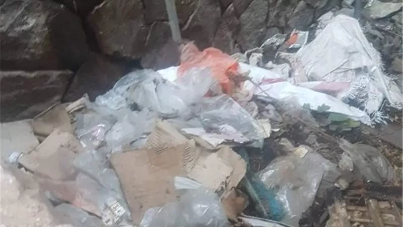 أهالي حدائق القبة لرئيس الحي :الفيلا المهجورة مرتع للحشرات والكلاب الضالة ..صور