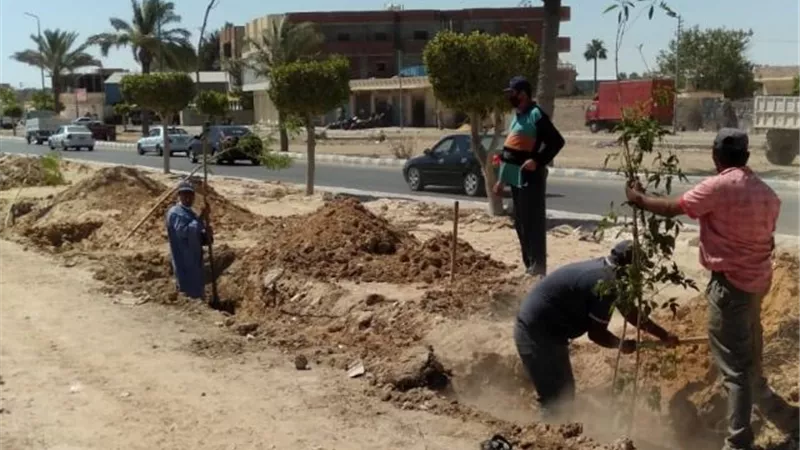 رئيس مدينة مرسى مطروح: رفع كفاءة الشواطئ ورصف منطقة ريم وتشجير الجزيرة.. بالصور