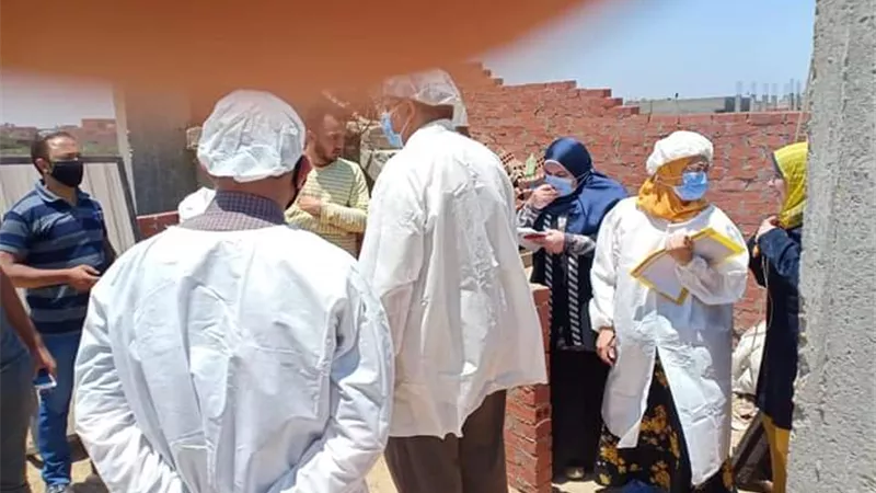 ظهور بؤرة إيجابية لأنفلونزا الطيور بأشمون