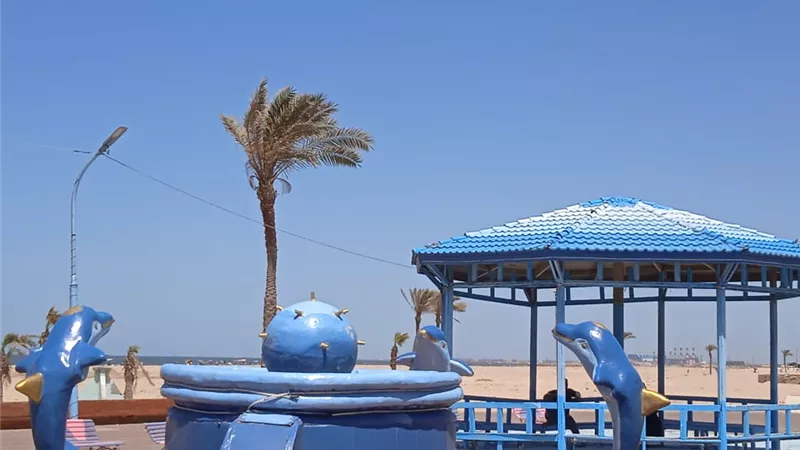 محافظ الدقهلية يتابع مع رئيس مدينة جمصة اجراءات عودة فتح الشاطئ