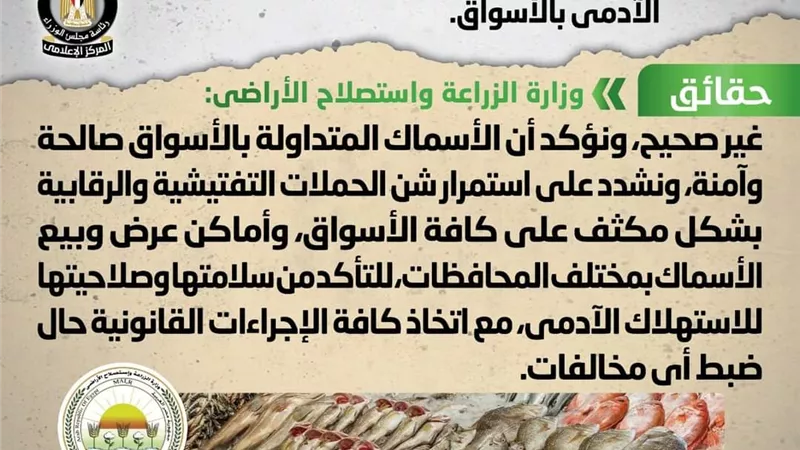 الحكومة تنفى انتشار أسماك فاسدة وغير صالحة للاستهلاك الآدمي بالأسواق