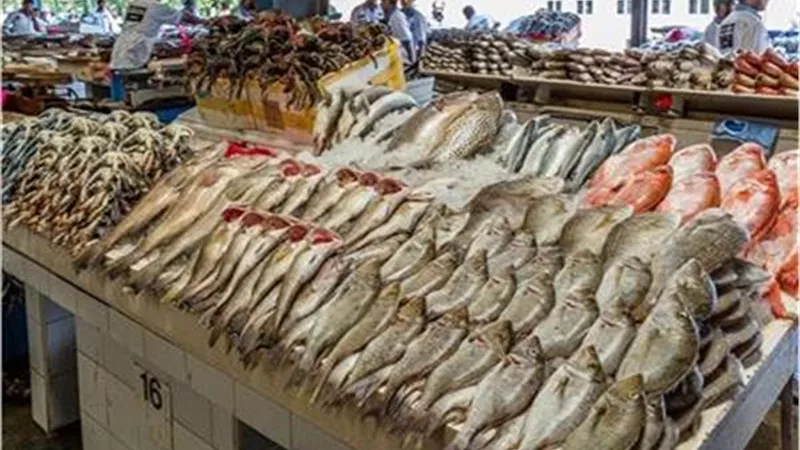 الزراعة حملات تفتيشية ورقابية مكثفة على أماكن بيع الأسماك بالمحافظات