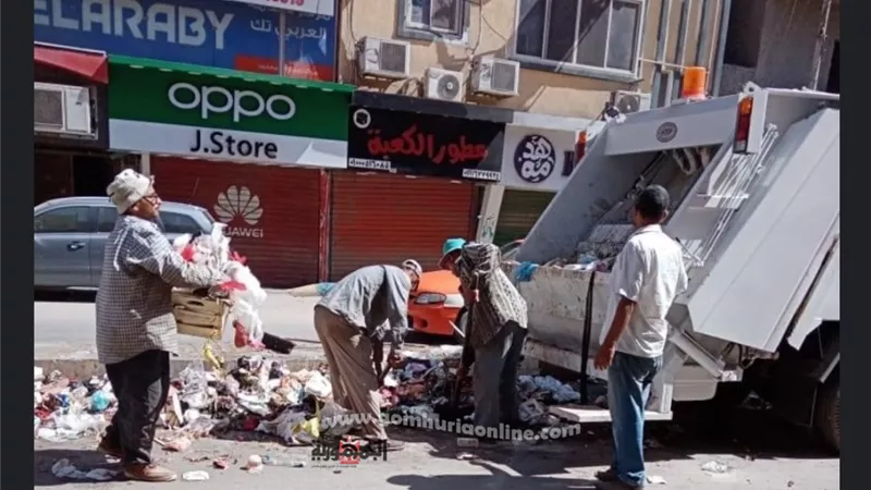 رفع كفاءة النظافة والاناره بمحيط ميدان السلام بنطاق حى ثان الاسماعيليه.