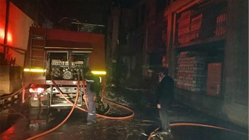 حريق يلتهم 3 رؤس ماشية بالدقهلية