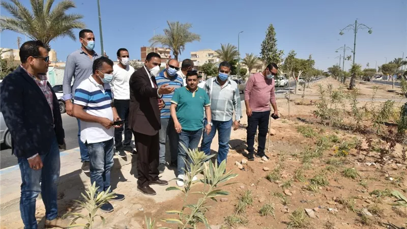 محافظ مطروح يتفقد اعمال التشجير والتجميل بالطريق الدولي