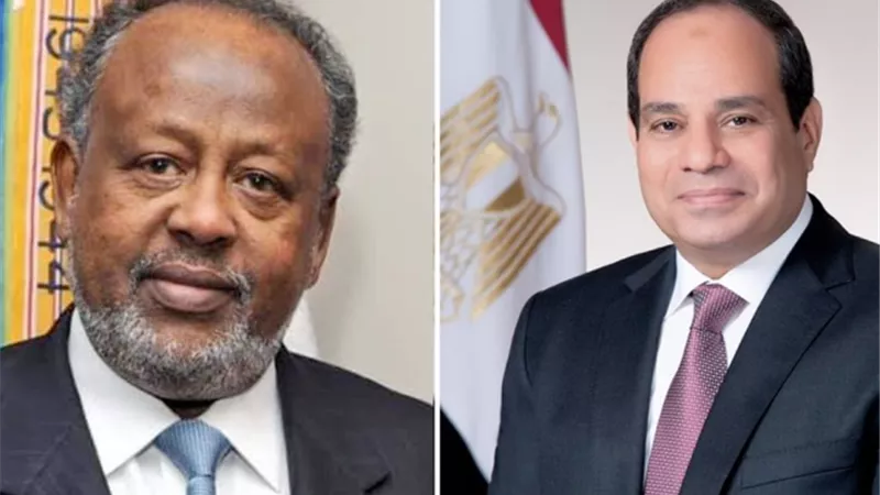توافق مصرى جيبوتى على التوصل لاتفاق قانونى حول ملء وتشعيل سد النهضة