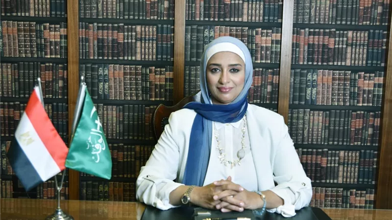 النائبة أميرة أبوشقة: إعلان مصر خالية من العشوائيات انجاز جديد للدولة المصرية