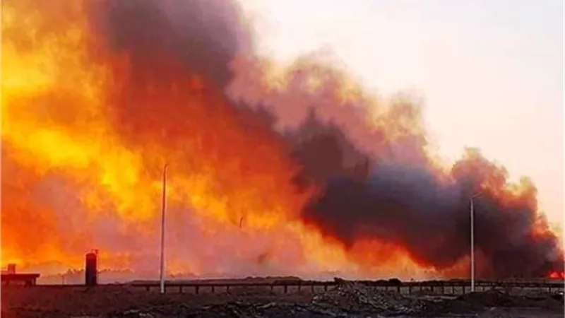 إندلاع حريق فى الغابات الشجرية بطريق مطار الغردقة