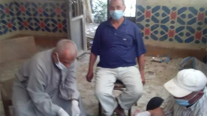 مديرية الزراعة بالقليوبية تقوم بحملة لمكافحة القوارض ببنها
