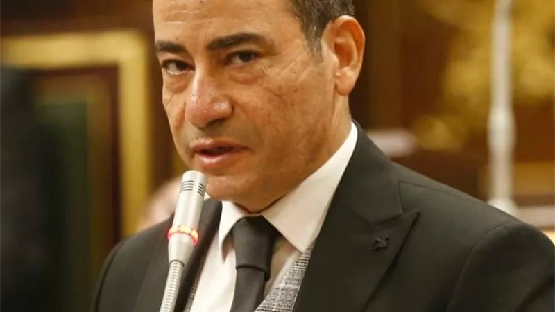 برلماني: إشادة صندوق النقد الدولي بآداء الاقتصاد المصري تعزز الحصول على 1.6 مليار دولار منه