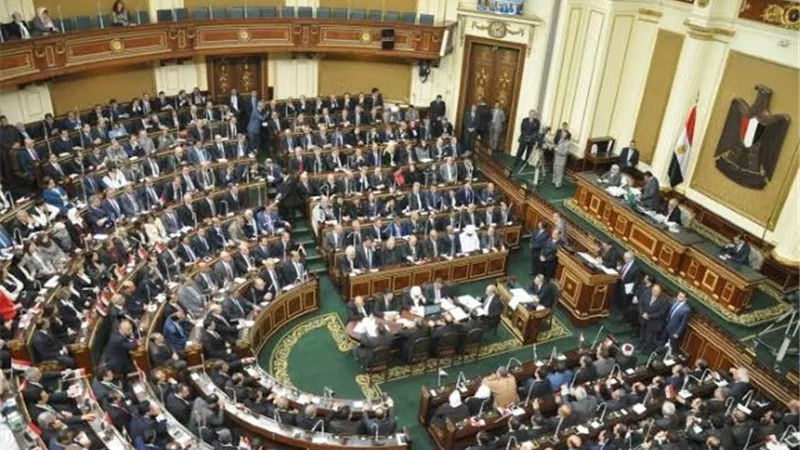 لجنة الصحة بمجلس النواب توافق على زيادة ميزانية قنا