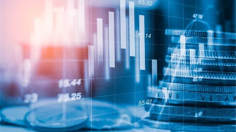 معلومة اقتصادية.. الاقتصاد الجزئى يدرس أسباب التغيرات فى أسعار السلع بالأسواق