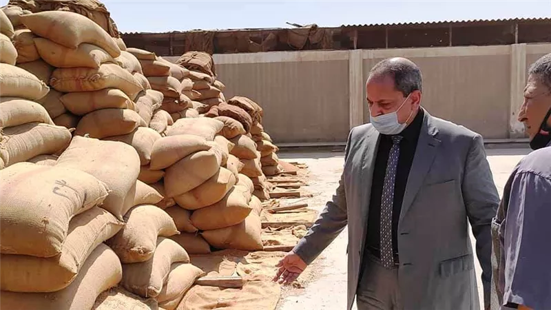 وكيل تموين المنيا : توريد 296 الف طن من القمح حتى الان