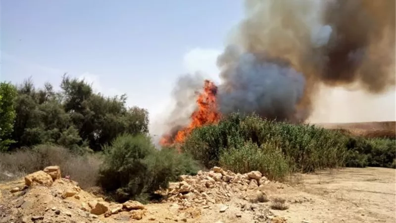 حريق هائل بالحزام الأخضر الفاصل بين مدينة الشروق والمستقبل.. تعرف على الأسباب بالصور