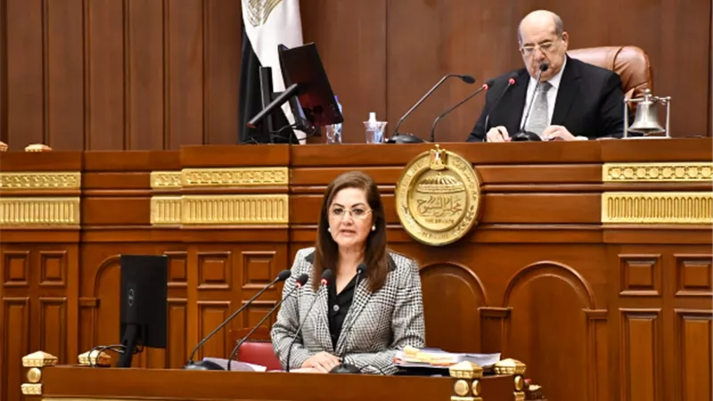 وزيرة التخطيط والتنمية الاقتصادية: جائحة كورونا فرضت علينا وضع خطة استثنائية للعام المالي الجديد
