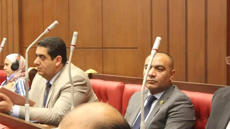 النائبان وليد التمامي ومحمد أبو حجازي يوافقان على قانون خطة التنمية الاقتصادية
