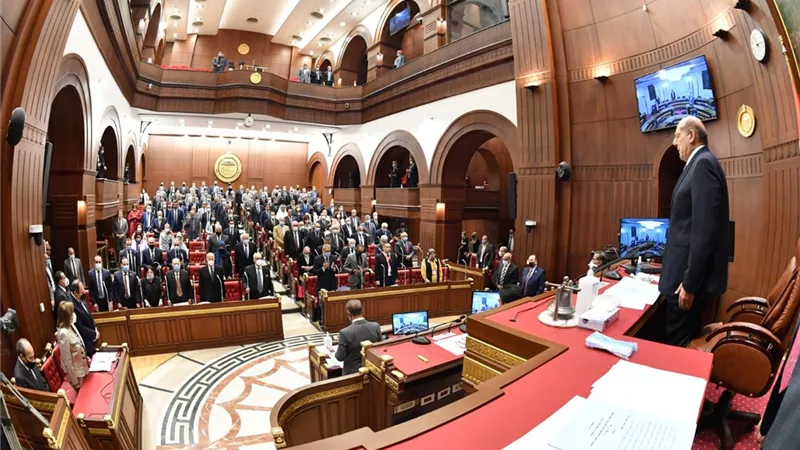 رئيس برلمانية المصري يكشف تفاصيل رفضه خطة التنمية الاقتصادية تحت قبة الشيوخ