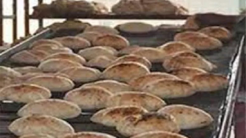 نائب هيئة السلع التموينية :تحويل المخابز البلدى للعمل بالغاز الطبيعى سيسهم فى تحسين جودة رغيف الخبز