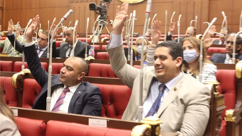 النائبان وليد التمامي ومحمد أبو حجازي يعلنان تأييدهم لمشروع قانون صندوق الطوارئ الطبية