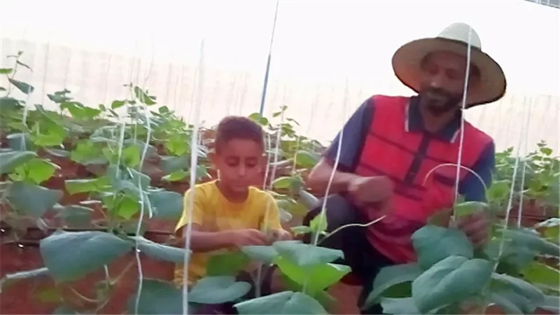 حازم شبل الوادى حول صخور البوادى الى محميات خضراء ذات عائد اقتصادى..فيديو وصور