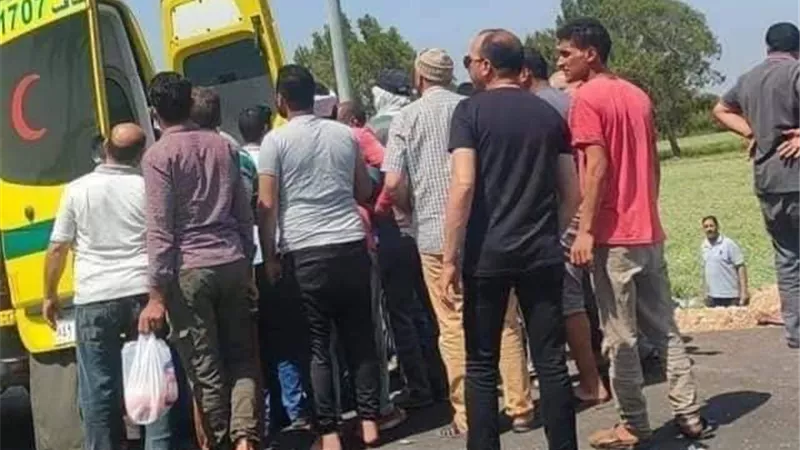 مصرع 2وإصابة 8 آخرين في تصادم سيارتين بالدقهلية