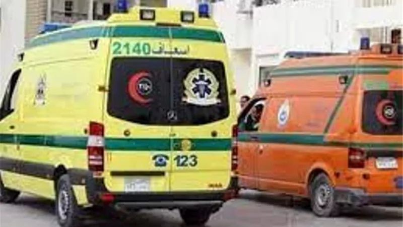 مصرع وإصابة 12 عاملا فى انقلاب سيارة بالشرقية