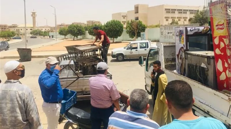 بشارة: جهاز الشروق يحرر 15 محضر ويضبط سيارة بالتعاون مع شرطة التعمير.. بالصور