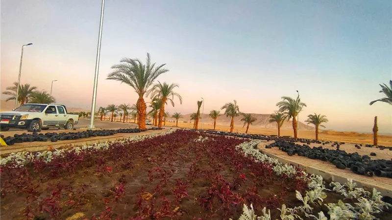 رئيس جهاز