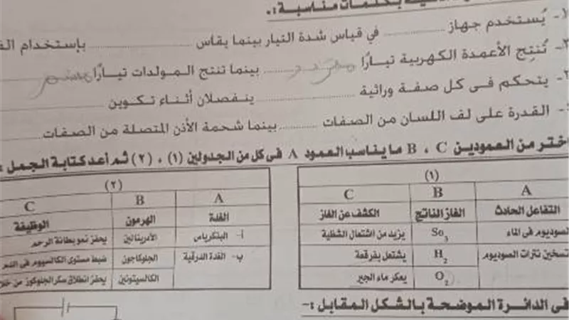 بكاء طلاب الإعدادية في الإسماعيلية من صعوبة امتحان العلوم..صور
