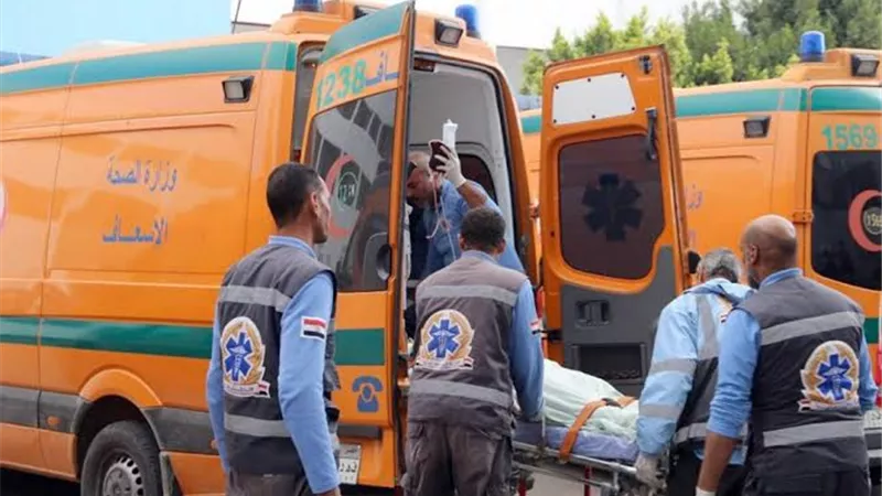 مصرع روسية وإصابة 11 أخرين في حادث تصادم بطريق القطامية _السخنة