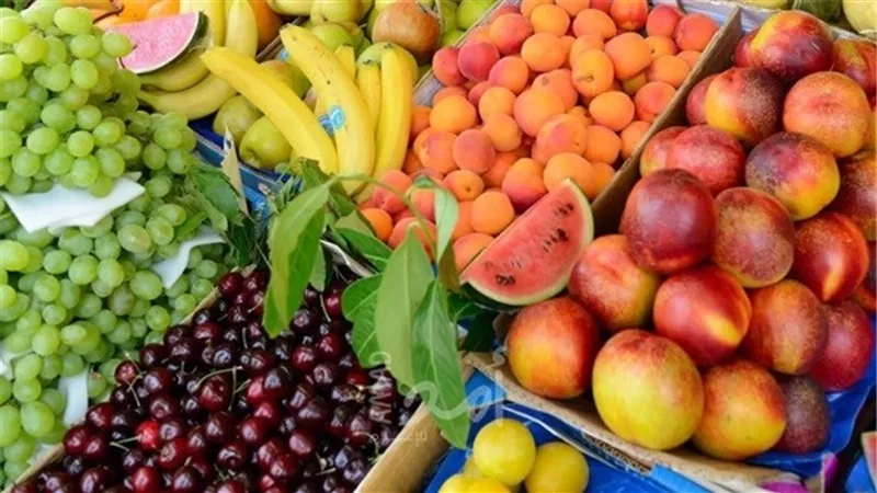 وزارة الزراعة في غزة تقرر وقف استيراد الفواكة من إسرائيل