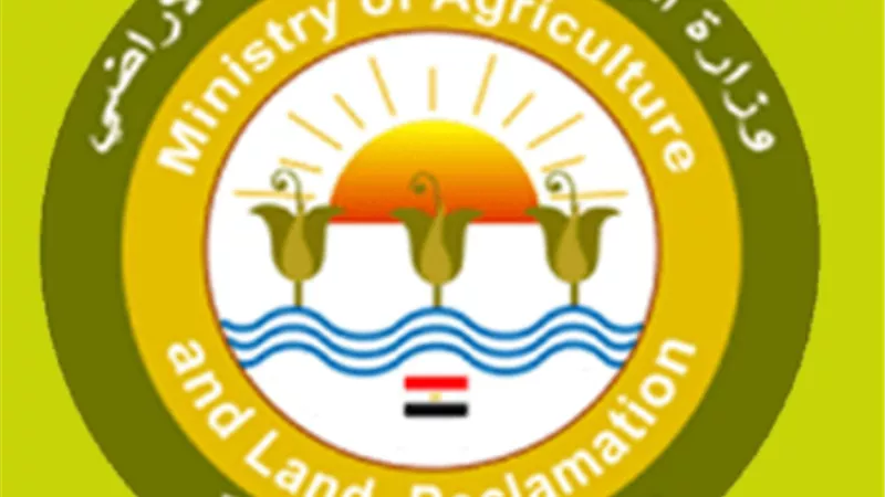 الزراعة.. استمرار حركة صادرات المحاصيل الزراعية المصرية الى المملكة العربية السعودية