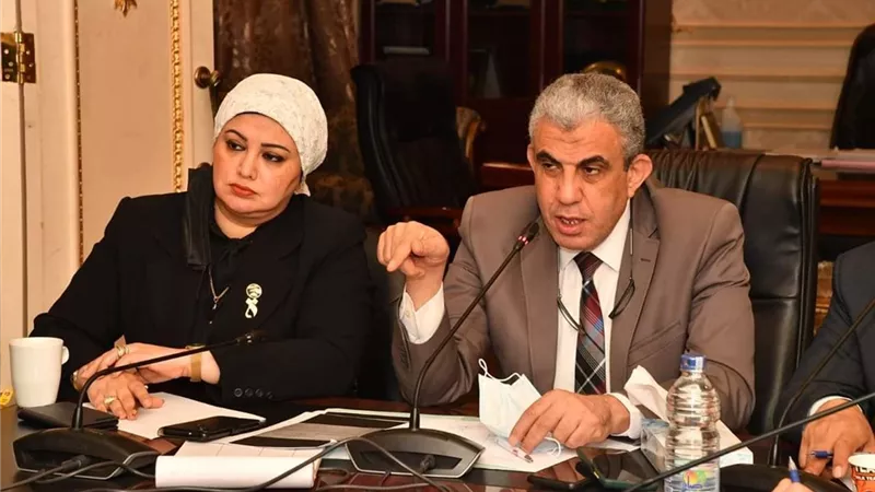 القوى العاملة بالنواب تناقش أزمة حرمان العاملين بشركات مياه الشرب والصرف الصحي من المنح والعلاوات