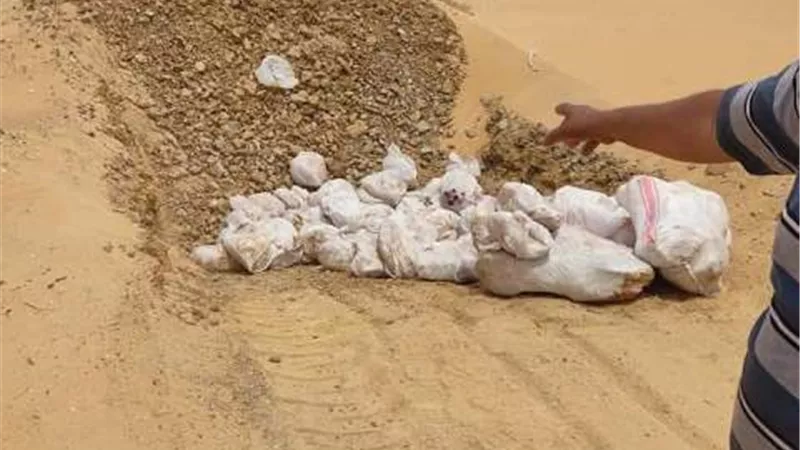 اعدام طن ممبار فى حملات بيطرية بالخارجة..صور