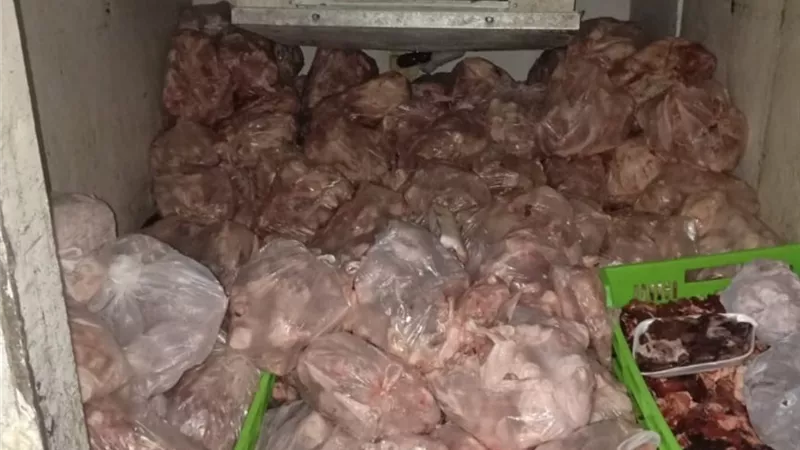 تموين العاشر: ضبط ٥٥٠ كيلوا دواجن وكبد غير صالحة للاستهلاك الآدمي وتحرير محاضر ضد اصحاب انشطة تجارية مخالفة