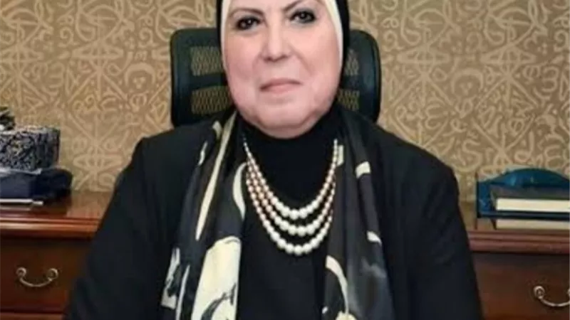 وزيرة الصناعة والتجارة: التمويل الميسر والشباك الواحد أبرز حوافز تشجيع الأستثمار للمشروعات الصناعية .. فيديو