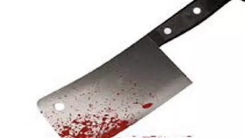 «مذبحة بالساطور» .. «مدمن مخدرات» يذبح والده ووالدته وطفلين من أسرته وهم نائمون في سوهاج
