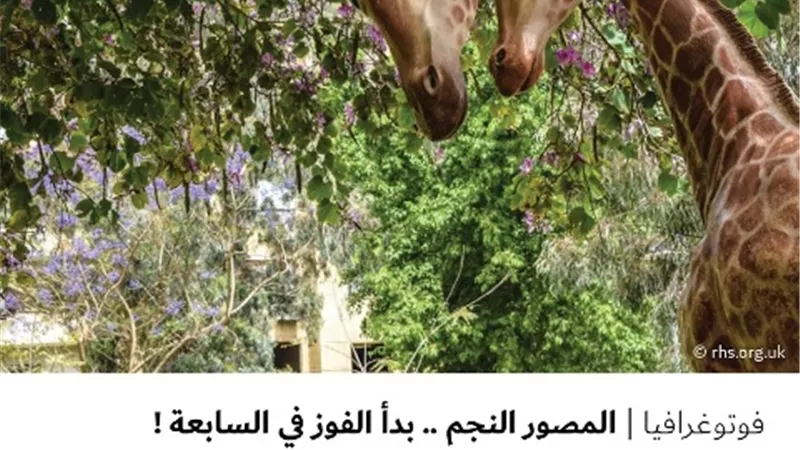 المصور النجم .. بدأ الفوز في السابعة !