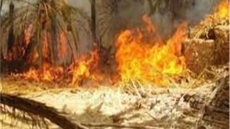 حريق هائل بمزرعة للثروة الحيوانية فى الشرقية
