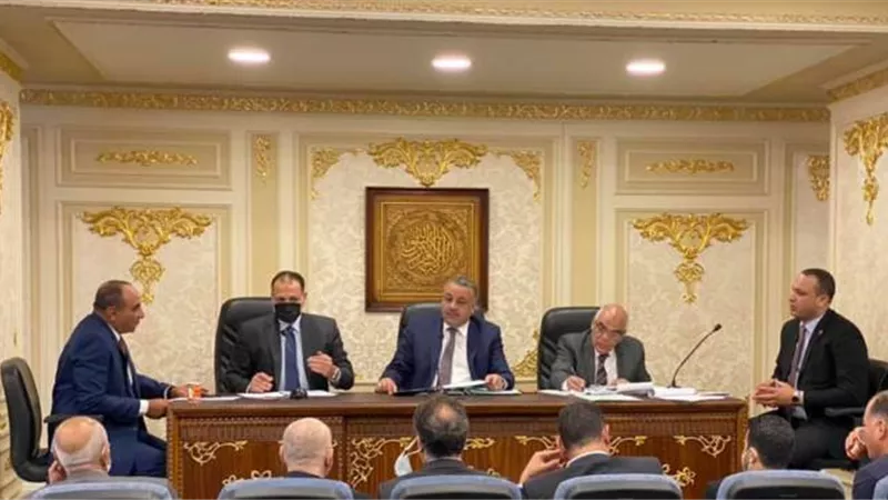 نائب الإسماعيلية : مقترحات النواب ناقشت تحويل قرية أبوخليفة لمدينة