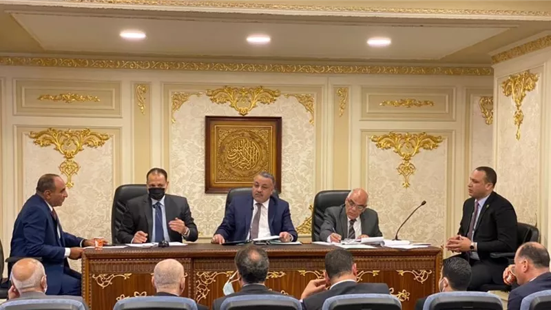 قرية ابوخليفه النموذجيه بالاسماعيليه تتحول الى مدينه