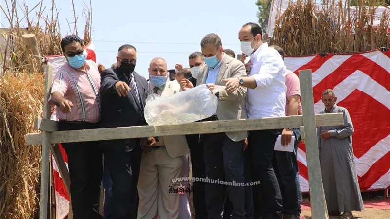إلقاء 2 مليون زريعة سمك بالبحر الفرعوني بمنوف.. صور